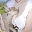 dietcokefanaticx avatar