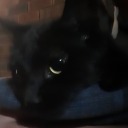 dietiesgarden avatar