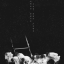 dieulinh0511 avatar