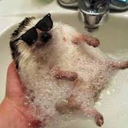 different0angle avatar