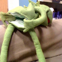 differentcollectortreee avatar