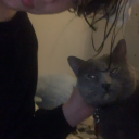 differentvoidqueen avatar