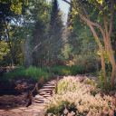 digestbutterflies avatar