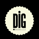 dighaushizzle-blog avatar