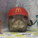 digitalantidepressant avatar