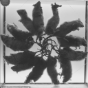 digitaldrip777 avatar