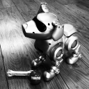 digitalfleabag avatar