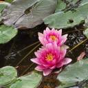 digitallyinclined avatar