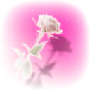 digitalpink-rose avatar