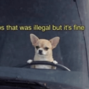 digitalricochet avatar