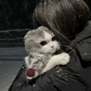 diistanciar-se avatar