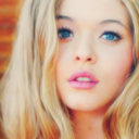 dilaurentis-team-blog avatar