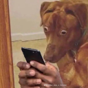 dilfapologist22 avatar