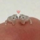 diligentskyrider avatar