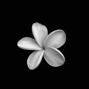 dillydandydaisy avatar