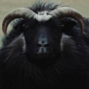 dimitris-workshop avatar