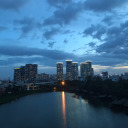 dimsumwthesauce avatar