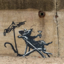 dinamichedelnulla avatar