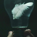 dingledangleball avatar