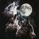 dingledanglewhatsthemangle avatar