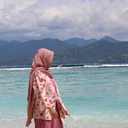 dinisuciyanti avatar