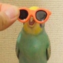 dinkybirb avatar