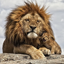 dino-thoughts-opinion-blog avatar