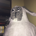 dinochickn avatar