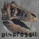 dinofossil avatar