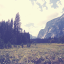 dinotales-blog avatar