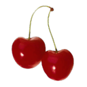 dinotual-archive avatar