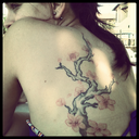 dinuovopuntoacapo avatar