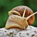 dioliciousdio avatar