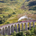 dior-elegance avatar