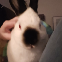 dipperposting avatar