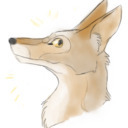 dipshitcoyote avatar