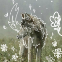 dire-wolf-days avatar