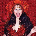 directionermixerselenator avatar