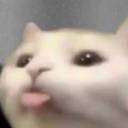 dirigibletomato avatar