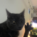 dirtanddreams avatar