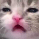 dirtballaragorn avatar