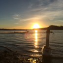 dirtdonthurtdawg avatar