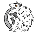 dirtpossums avatar