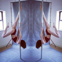 dirty-dissection avatar