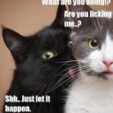 dirty-nerd-83-a avatar