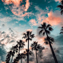 dirty-thoughts2 avatar