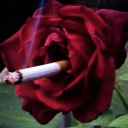 dirtydirtworshipper avatar