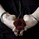 dirtyrose-blog-blog avatar