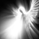 dirtysoftness avatar