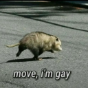 disabledbookworm avatar